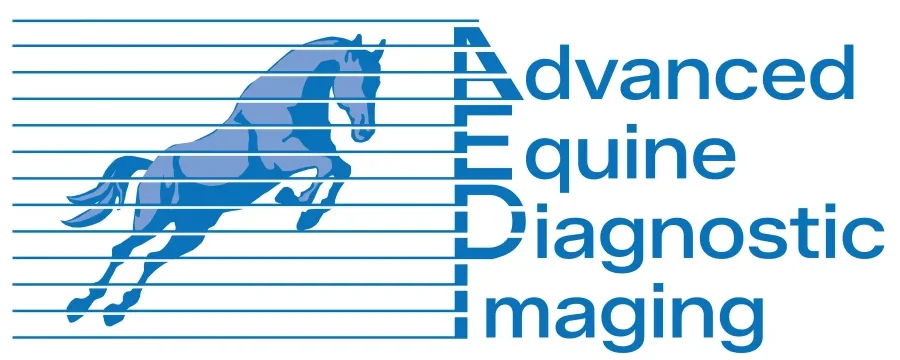 Advanced Equine Diagnostic Imaging
